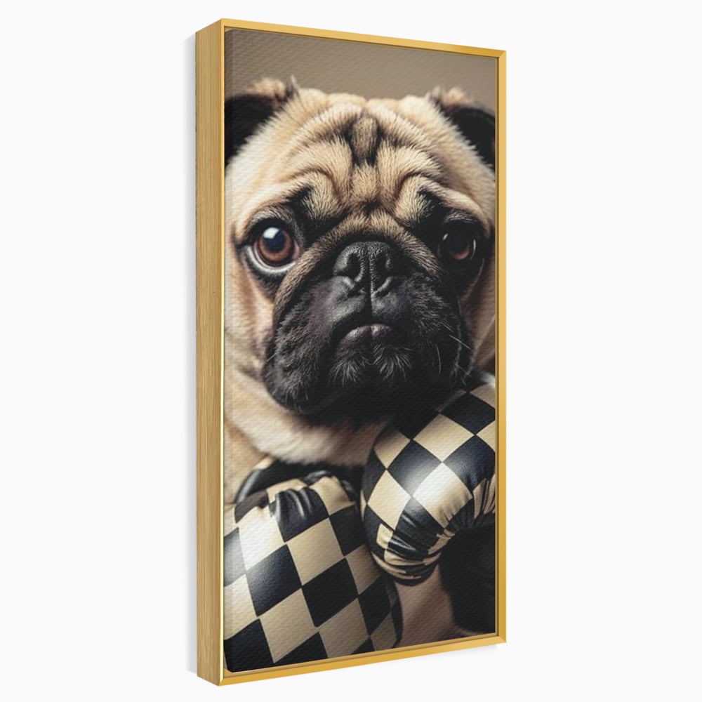 Tablou canvas cu tablou canvas cu pug in manusi de box, in rama de aluminiu auriu